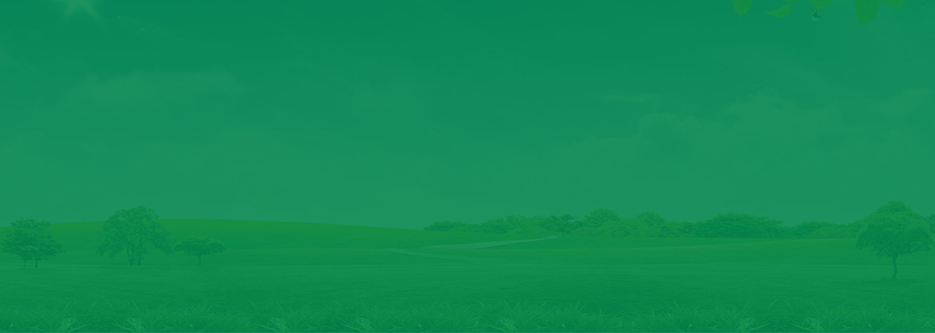 硬木企口籃球木地板造價是的多少?